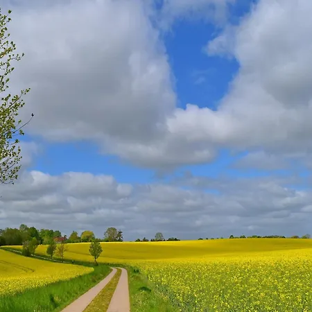 Ferienwohnung, Gutshaus Schulenbrook Apartman Metelsdorf